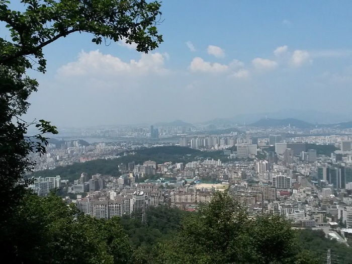 이미지