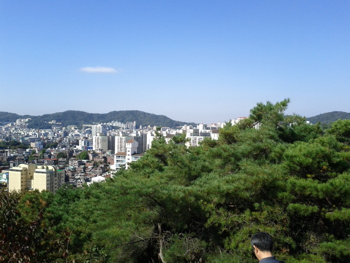 이미지