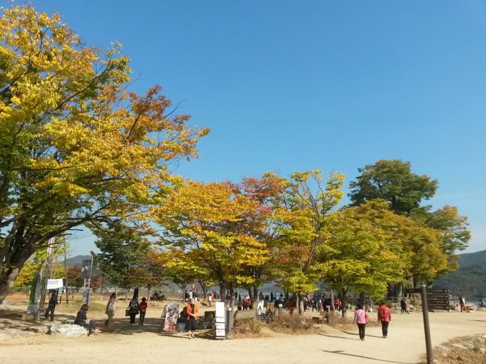 이미지